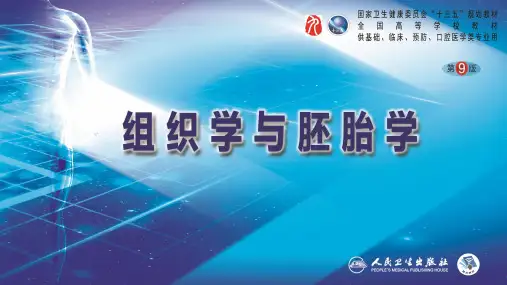 第7章 神经组织