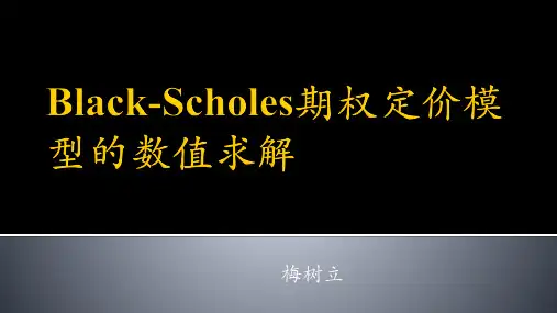 Black-Scholes期权定价模型的数值求解-梅树立庞守林