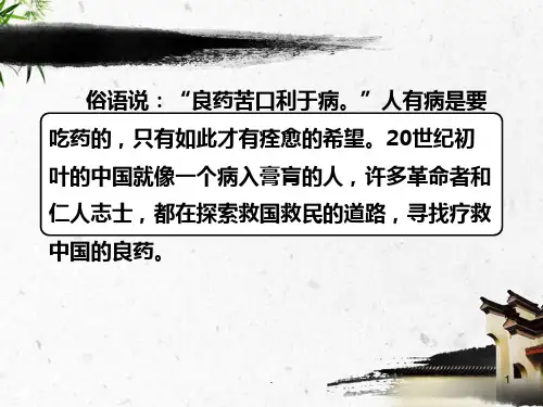 鲁迅《药》(精品)PPT课件