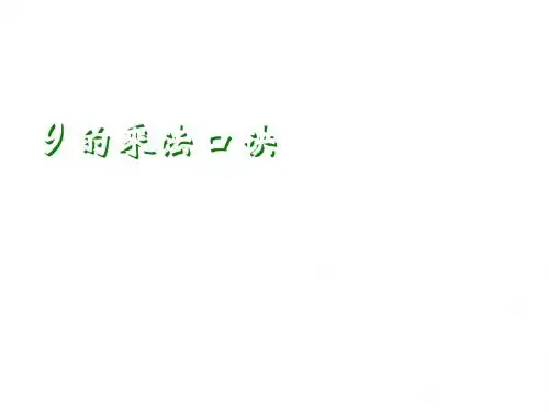 最新人教版数学二上6.4《9的乘法口诀》ppt课件2(精品课件)