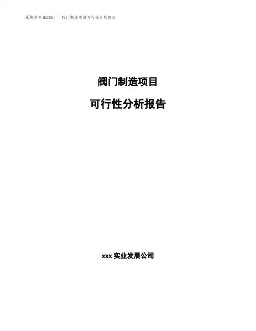 阀门制造项目可行性分析报告