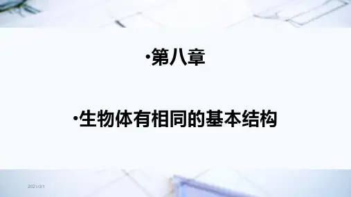 苏科版七年级生物下册期末复习课件