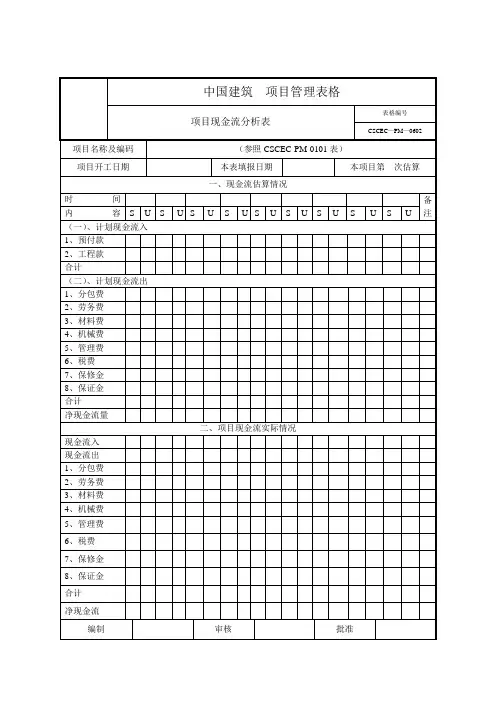 项目现金流分析表