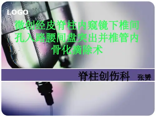 椎间孔镜技术ppt课件