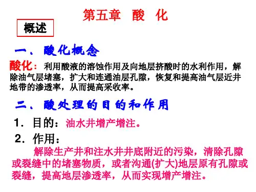 第五章:酸化工艺技术