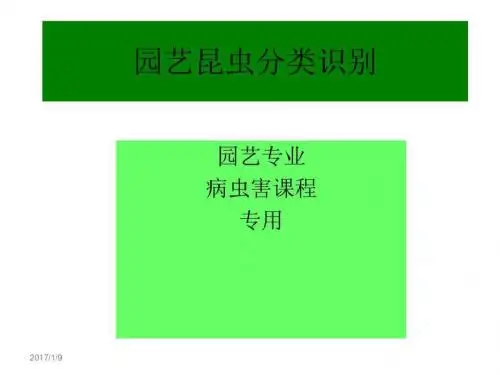 农业昆虫分类识别 共83页