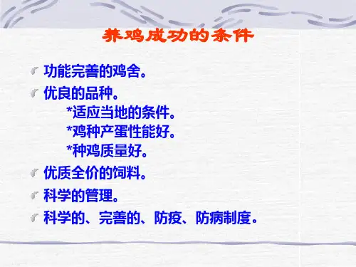 蛋鸡饲养管理资料精品PPT课件