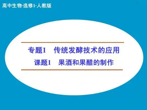 1-1 传统发酵技术的应用