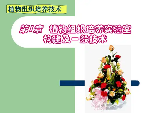 组织培养基础