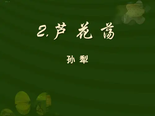 《芦花荡》PPT下载优秀课件
