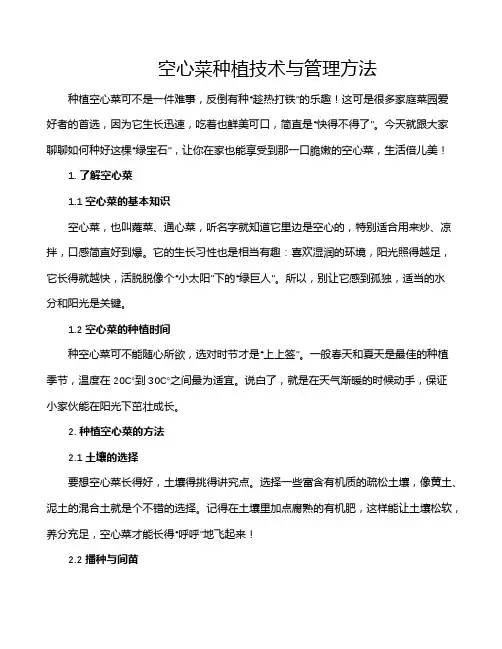 空心菜种植技术与管理方法