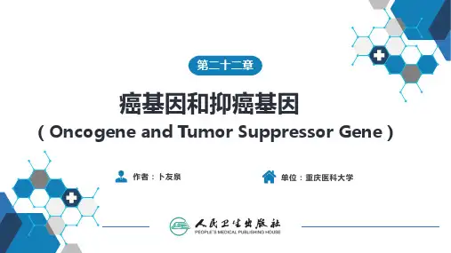 第二十二章 癌基因和抑癌基因