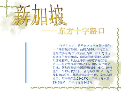 新加坡