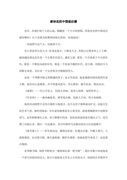 唐诗里的中国读后感 2
