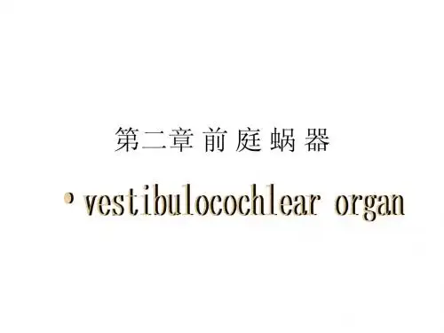 人体解剖学  前庭蜗器