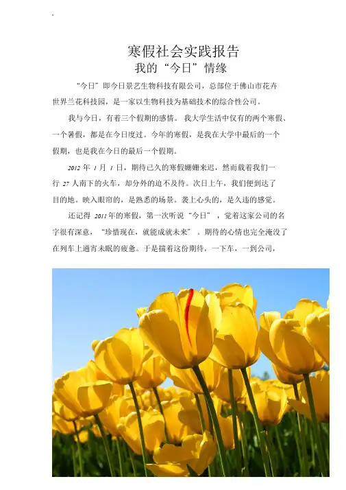 2012年寒假社会实践报告学习文件.doc