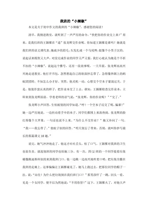 我班的“小辣椒”_初中作文