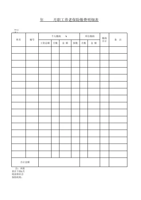 养老保险明细表