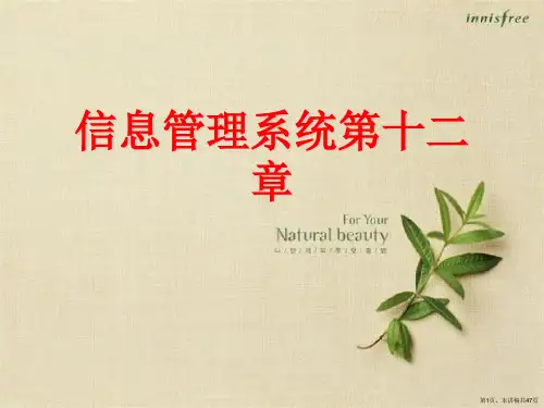 信息管理系统第十二章