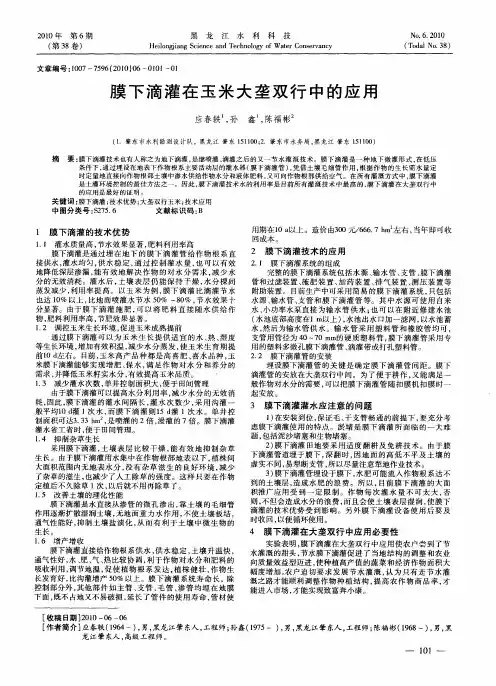 膜下滴灌在玉米大垄双行中的应用