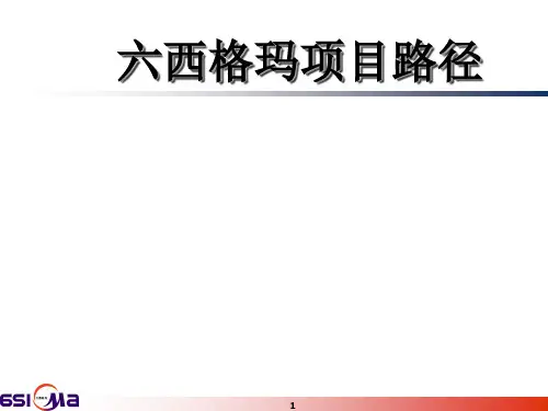 六西格玛项目路径