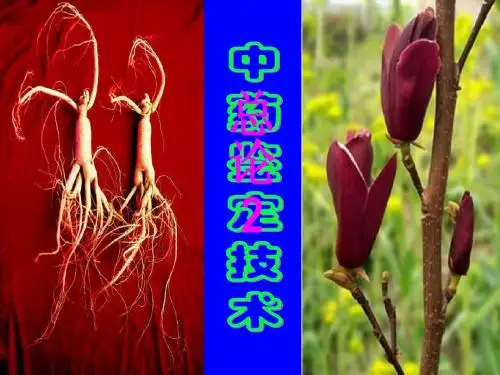 (总论)2中药鉴定技术的发展概况