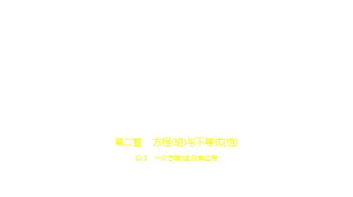 2021年安徽中考数学复习练习课件：§2.1 一次方程(组)及其应用