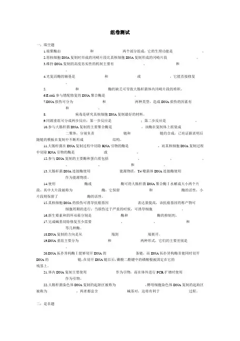 DNA的复制与修复