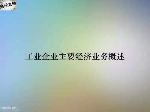 工业企业主要经济业务概述
