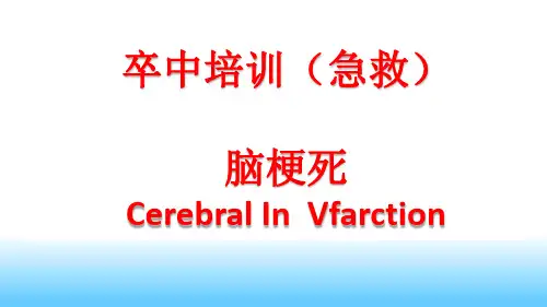 卒中培训