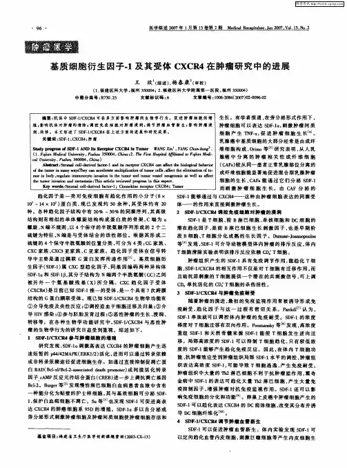 基质细胞衍生因子-1及其受体CXCR4在肿瘤研究中的进展