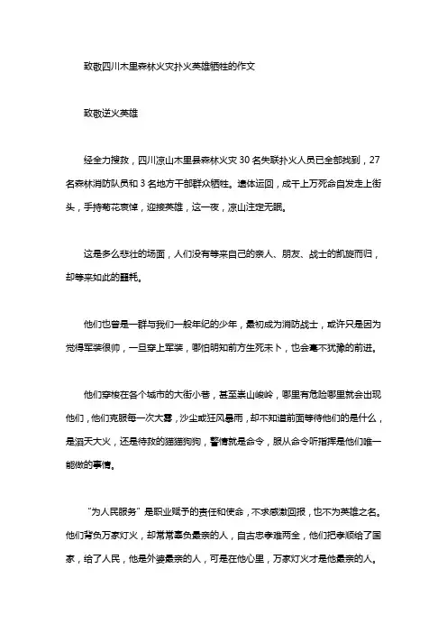 致敬四川木里森林火灾扑火英雄牺牲的作文