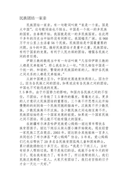 民族团结一家亲 3