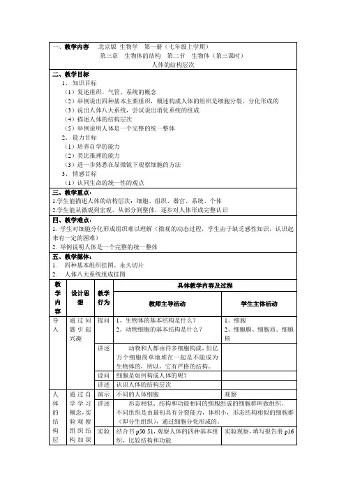人体的结构层次