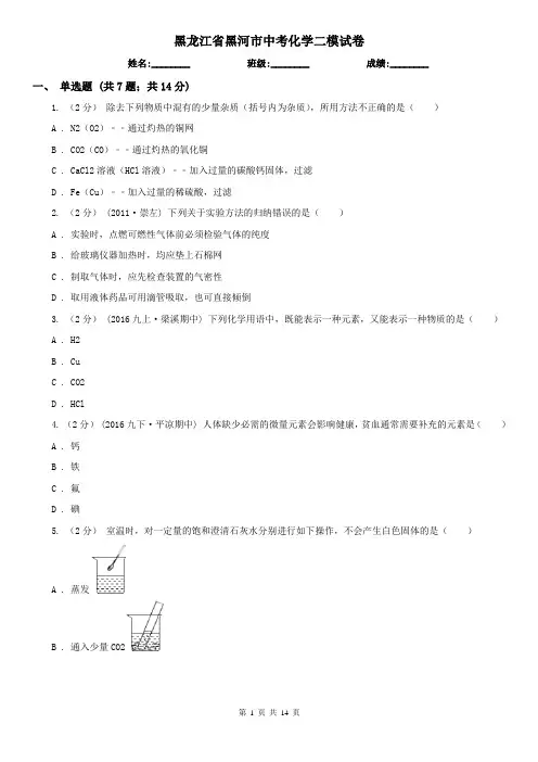 黑龙江省黑河市中考化学二模试卷