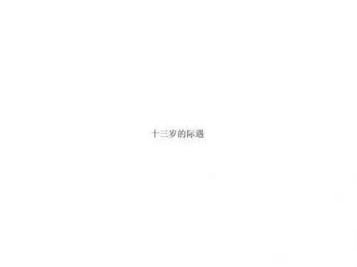 十三岁的际遇1
