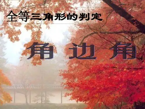 湘教版八年级数学上册三角形全等的判定(ASA)