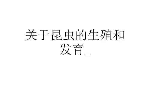 关于昆虫的生殖和发育_课件