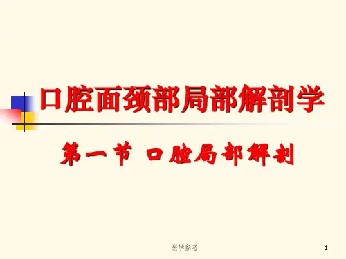 口腔局部解剖(内容充实)