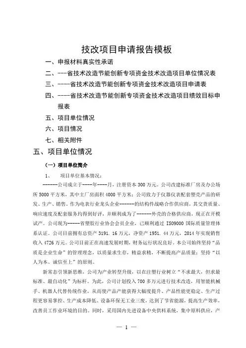 注塑业技术改造专项资金申请报告模板