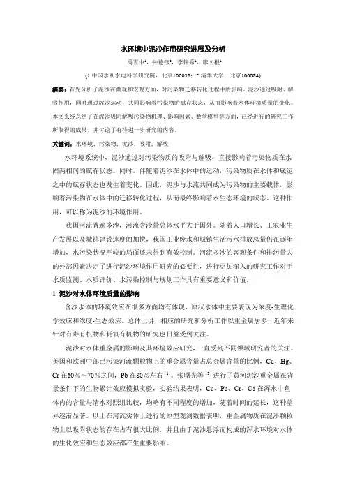 水环境中泥沙作用研究进展及分析