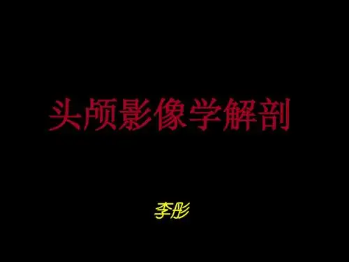 头颅影像学解剖
