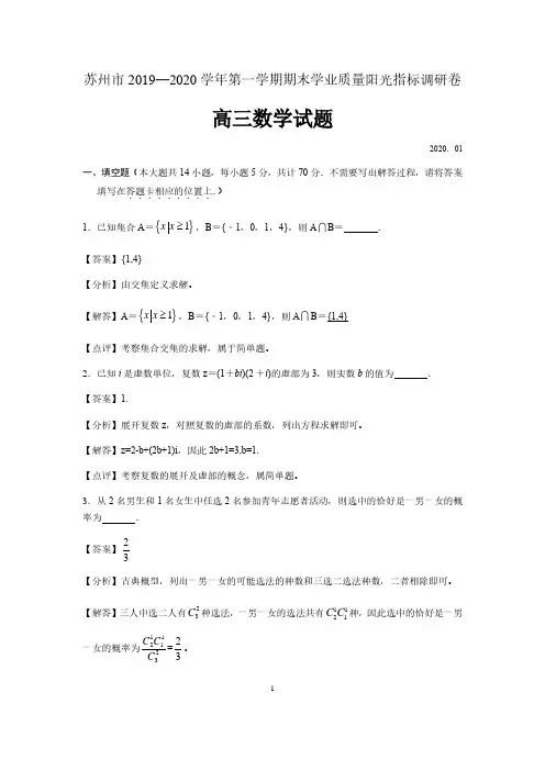 江苏省苏州市2019-2020学年第一学期期末学业质量阳光指标调研卷高三数学试题(解析版)