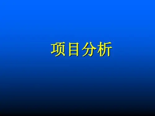 项目分析