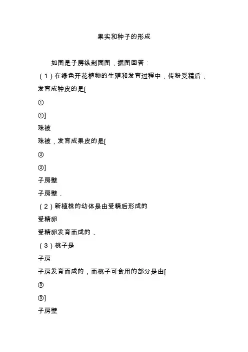 果实和种子的形成 2