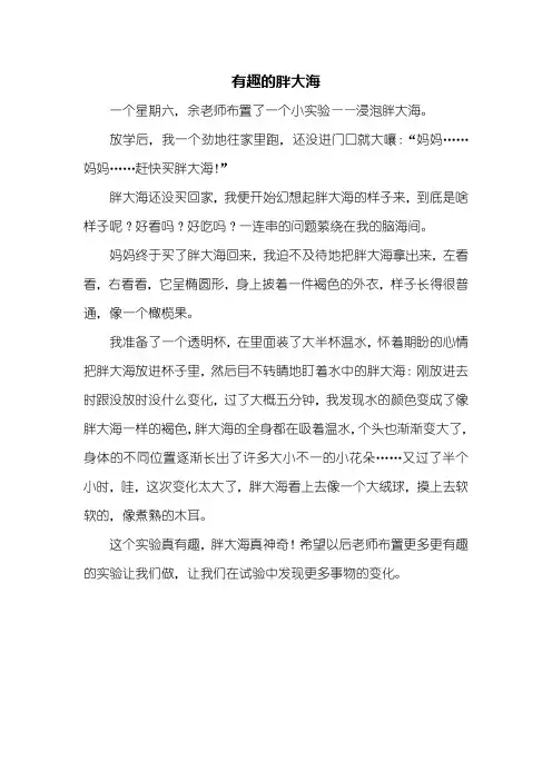 四年级作文：有趣的胖大海作文400字