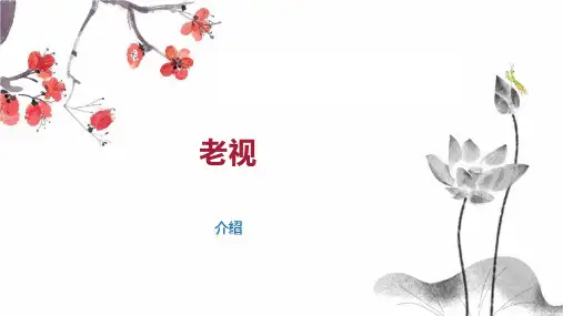 老视    