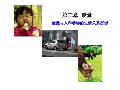 3第三章能量2