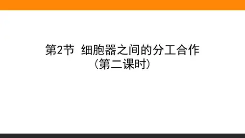 高中生物《细胞器之间的分工合作》(第二课时)PPT课件