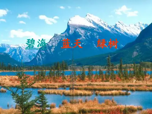 苏教版八年级语文上册《五单元 人与环境  二十四 .明天不封阳台》研讨课件_4